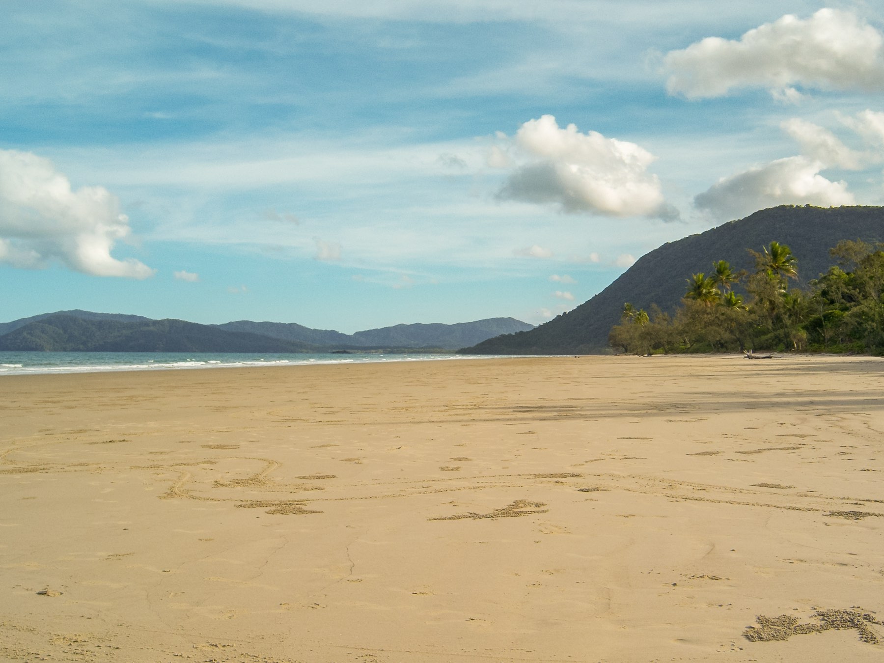 Empty beach where the rainforest meets the Coral Sea